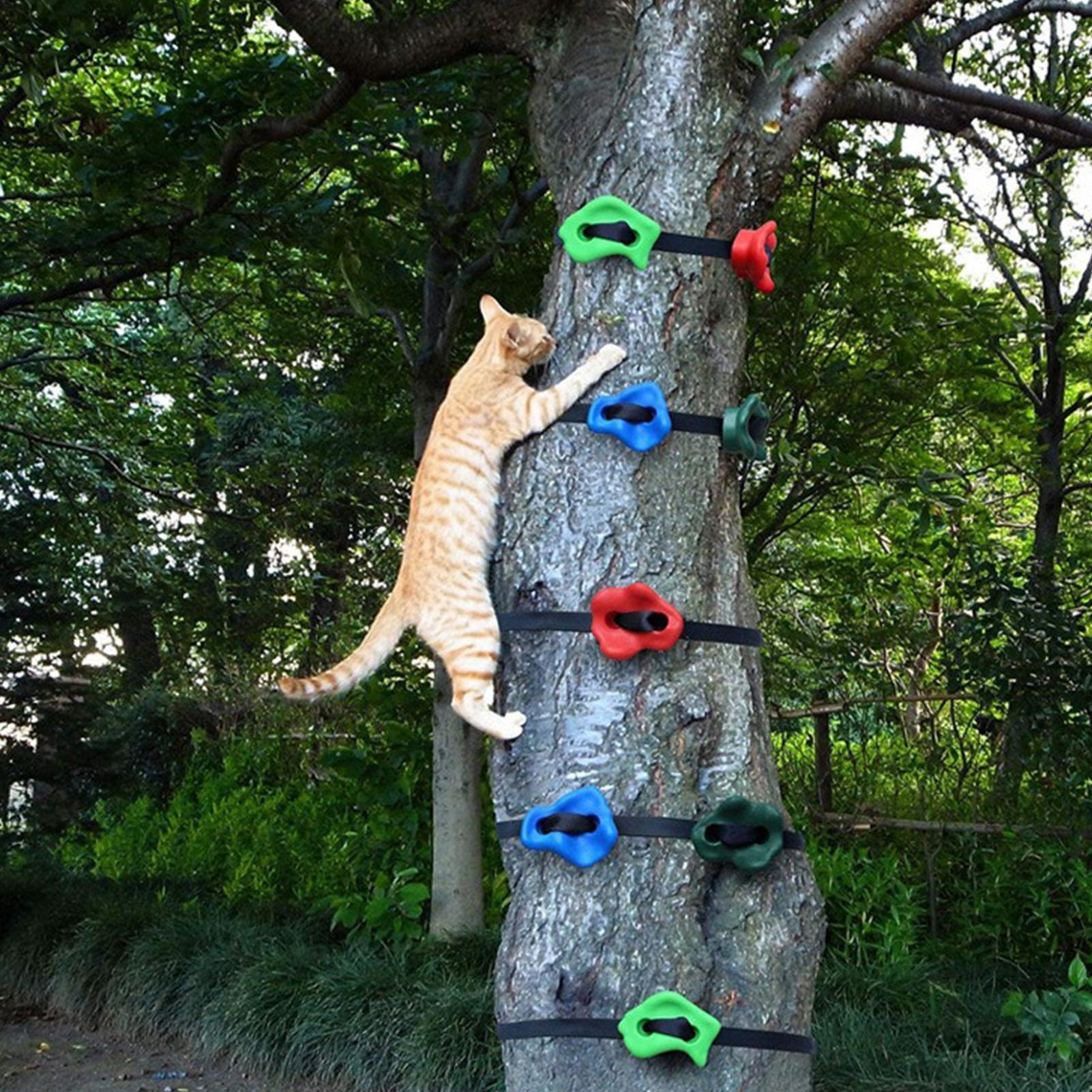 木登り用具 調整可能 軽量 障害物コース トレーニング 男の - Outdoor Adventure Store のレビューと価格